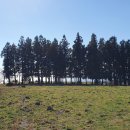 진하목장 이미지