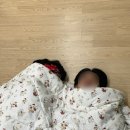 모짜르트펜션 이미지