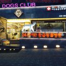 독스동물병원 이미지