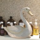 로뎀 에스테틱 이미지