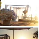 프라움 악기박물관 이미지