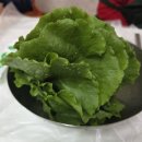 청웅식당 | 임실여행 한식 맛집 청웅식당 영업시간과 다슬기정식 솔직후기