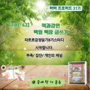 「처음, 타로」타로카드로 마음 읽기 이미지