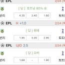 리즈펠리스 이미지