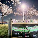 낙동제방 이미지