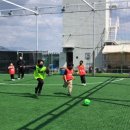 국술원도장 이미지