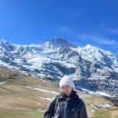 융프라우 | 스위스 융프라우 투어 후기 (마리트 안젤라 가이드님)