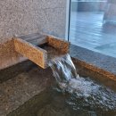 져스트바디 | 강릉 씨마크 호텔 [코너 스위트룸] (3) 일출, 스파, 씨마크 조식 솔직 후기 (마지막!!!)