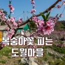 도월