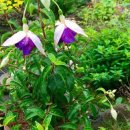 동산농원 이미지