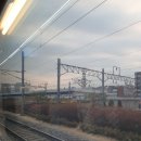 멘치함 | 2022년 초봄의 부산 여행. (feat. 라온)