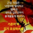 촉촉이네 이미지