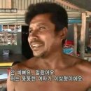 나돼지 이미지