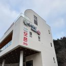 송정원 | 군포/산본 송정원 백합칼국수 맛집 추천 내돈내산 솔직후기