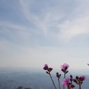 휴아일랜드 이미지