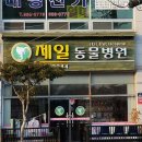 여서동물병원 이미지