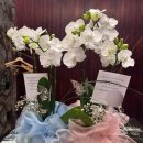 이화원프라이빗 이미지