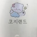 광도유치원 | 코지랜드 강아지모임 천안애견유치원 천안애견호텔 천안스튜디오대관 후기