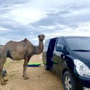 자연은 어떻게 풍경이 되었는가 | &lt;몽골 : 여름편&gt; 자연은 아름다워