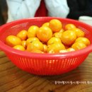 이모네국수 이미지