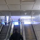 조은성형외과의원 이미지