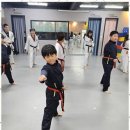 용인대 승리 태권도 이미지