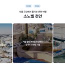 로카와 델피노2 이미지