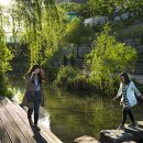 징검다리 이미지