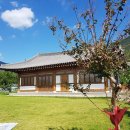 은행나무민박 이미지