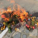 농산물주유소 이미지