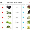 (주)청운