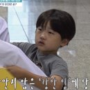 부림태권도장 이미지