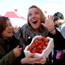 육군군악대 초청연주회 이미지