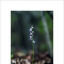 산너머 민박 이미지