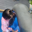 느티울근린공원 이미지