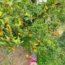 아름이농장 이미지