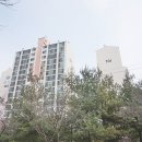 이승연공인중개사사무소 이미지
