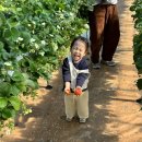 태광1농장 이미지