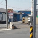 독배식품