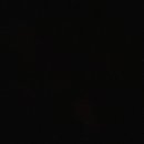 오수김밥나라 이미지