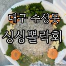 싱싱회 | 대구 수성못 맛집, 싱싱뽈락회 포장 후기