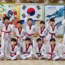 용인대 미르 태권도 이미지