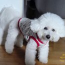 초광산단서로 이미지