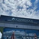 스퀘어독스 서산점 이미지