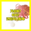(주)대한구급센터 | 머큐어 코타키나발루 시티 센터 숙박 후기 가성비 or 위치?
