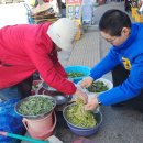 대마경로당 이미지