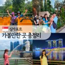 싱가포르 아기랑 가족여행 본섬 가볼만한 곳 총정리 (3회차 재방문자의 찐후기)