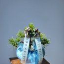 만수무강약국 이미지