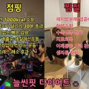 점핑다이어트 이미지