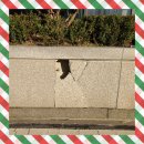 용산-이촌-1269 | 종로 회사 건물 대리석 깨짐 크랙으로 교체 보수 공사